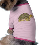 Cute tortoise pet clothing