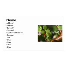Cute tree frog says hello! Amphibian style! Business Cards