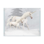 Cute Unicorns In Snow 1 postcards