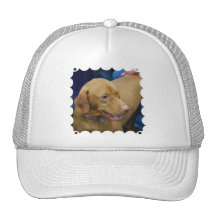 Cute Vizsla Dog Baseball Hat
