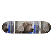 Cute Weimaraner Skateboard