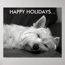 Cute West Highland Terrier Dog Poster