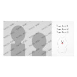 Cute White Dog. Spitz or Pomeranian. photo cards