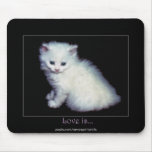 Cute White Kitten Art mousepads