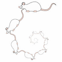 Cute White Mouse Design. Spiral of Mice. Acrylic Cut Outs