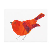 Cute Wildlife Animal Unique Artistic  Red Bird Post Card