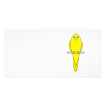 Cute Yellow Bird. Budgie. Canary. Custom photo cards