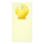 Cute Yellow Chick. Little Bird. Custom photo cards