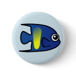 Cute Yellowbar Angelfish