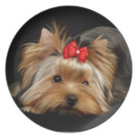 Cute yorkie dinner plate
