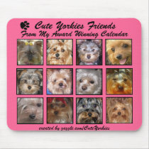 CUTE YORKIES Friends Now (on a MOUSEPAD)