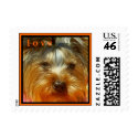 CUTE YORKIES (MY NAME IS LOLA) - LOVE STAMP