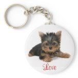Cute Yorkshire Terrier Puppy Love Key Chain keychains