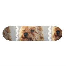 Cute Yorkshire Terrier Skateboard