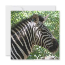 Cute Zebra Invitation