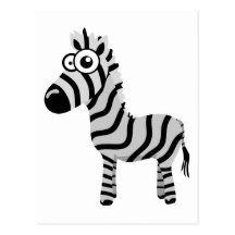 Cute zebra post card
