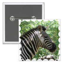 Cute Zebra Square Pin