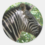 Cute Zebra Stickers