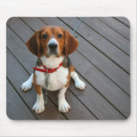 Cutest Beagle Dog Ever mousepads