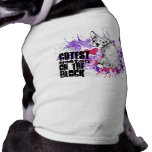 Cutest Boston on the Block pet clothing