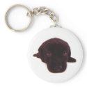 Cutest puppy keychain