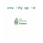 cvs -fq up -d - crisp t-shirts