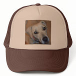 CX- Adorable Puppy hats