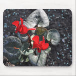 Cyclamen Mouse Pad
