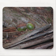 Cycle of Life Mouse Pad