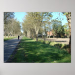 cycling in the dutch autumnsun poster