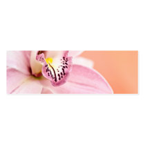 Cymbidium Orchid Business Card Templates
