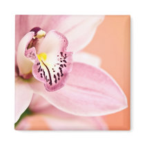 Cymbidium Orchid Refrigerator Magnets