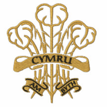 Cymru am Byth - Modern Welsh Feathers Polo