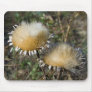 Cynara cardunculus mouse pad