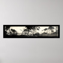 Cypress Point Monterey Photo 1907 Print