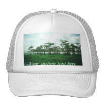 Cypress Sentries Custom Hat