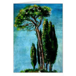 CYPRESS TREES AND MEDITERRANIAN PINE IN TUSCANY CARD