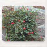 Cypress Vine (Ipomoea Quamoclit) flowers mousepads