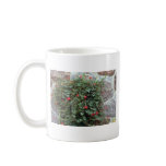 Cypress Vine (Ipomoea Quamoclit) flowers mugs
