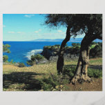Cyprus Flyers