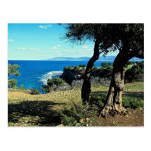 Cyprus Post Card