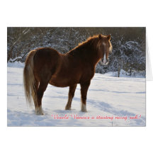 Czech, Horse in the snow christmas card