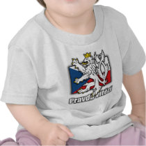Czech Lion Coat of Arms Flag
