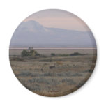 D0010 White-tailed Deer Sweet Grass Hills magnet