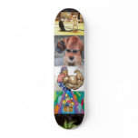 D0507US0, Dancing-Kittens-807, DogDisguise, fle... skateboards