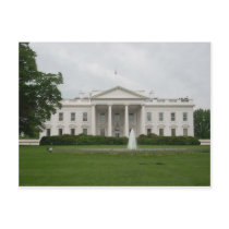 D.C. white house Postcards