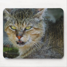 Da Cat Mousepads