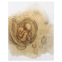 da Vinci - Embryo Sketch
