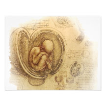da Vinci - Embryo Sketch Personalized Invites