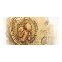 da Vinci - Embryo Sketch